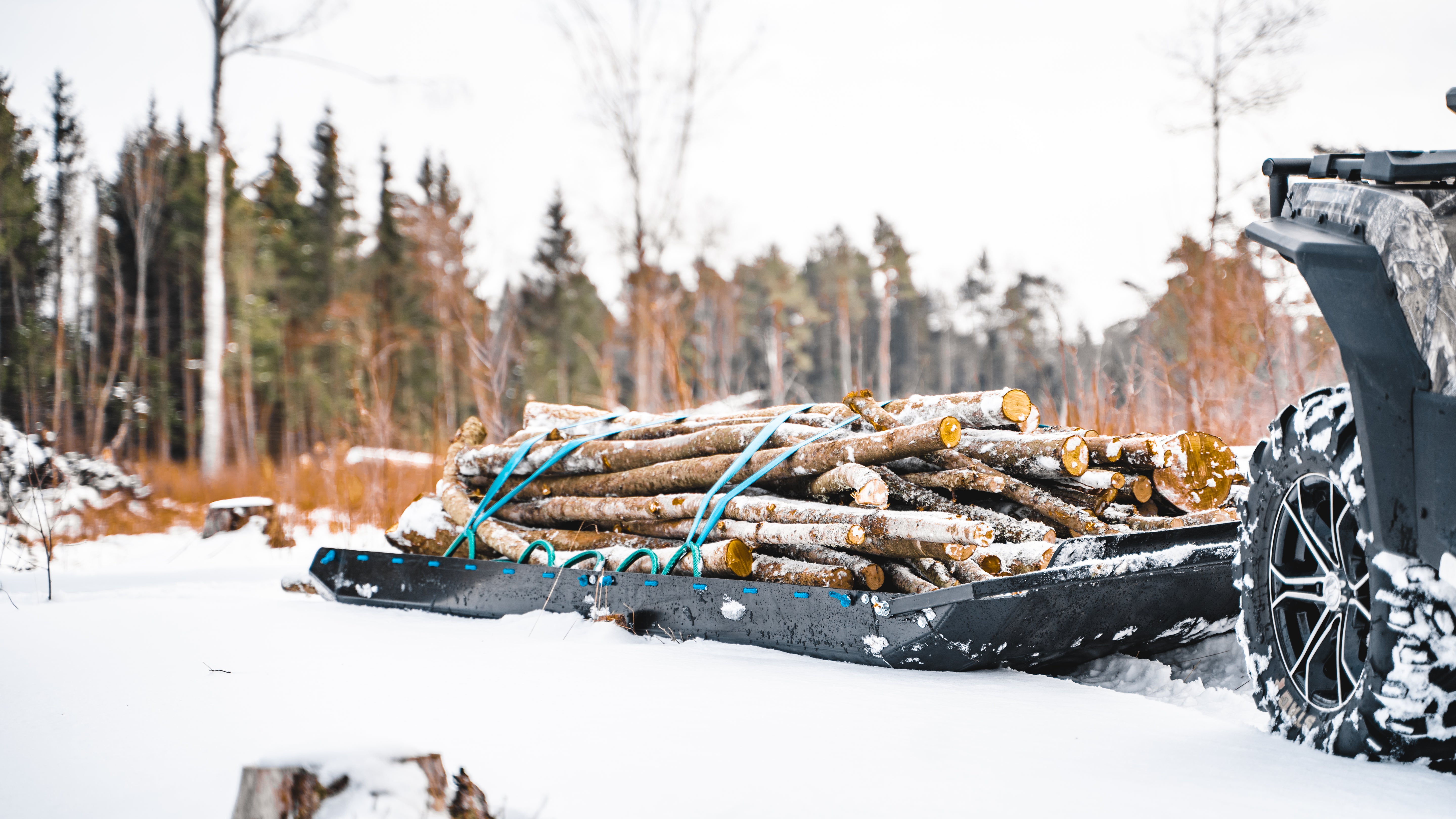 Universal cargo sled